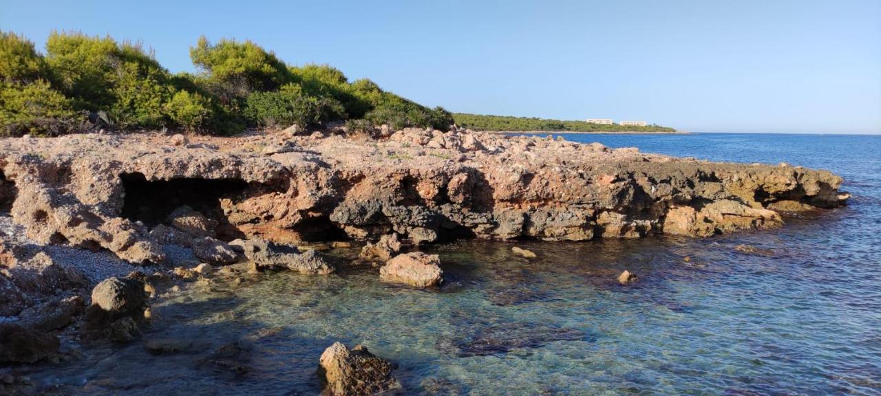 Apartamento L 'Altina A 40 Metros De La Playa Alcossebre Dış mekan fotoğraf